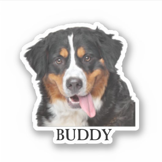 Custom Pet Sticker, Custom Dog Sticker, Custom Cat Sticker (Voorkant)