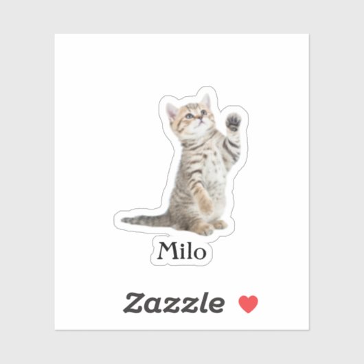 Custom Pet Sticker, Custom Dog Sticker, Custom Cat Sticker (Vel)