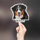 Custom Pet Sticker, Custom Dog Sticker, Custom Cat Sticker