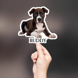 Custom Pet Sticker, Custom Dog Sticker, Custom Cat Sticker