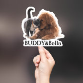 Custom Pet Sticker, Custom Dog Sticker, Custom Cat Sticker