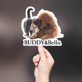 Custom Pet Sticker, Custom Dog Sticker, Custom Cat Sticker