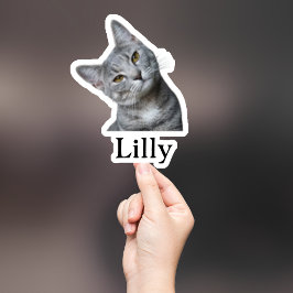 Custom Pet Sticker, Custom Dog Sticker, Custom Cat Sticker
