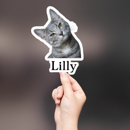 Custom Pet Sticker, Custom Dog Sticker, Custom Cat Sticker
