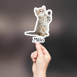 Custom Pet Sticker, Custom Dog Sticker, Custom Cat Sticker