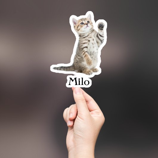 Custom Pet Sticker, Custom Dog Sticker, Custom Cat Sticker