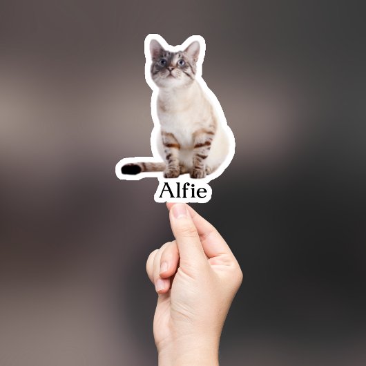 Custom Pet Sticker, Custom Dog Sticker, Custom Cat Sticker
