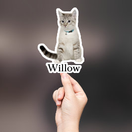 Custom Pet Sticker, Custom Dog Sticker, Custom Cat Sticker