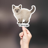 Custom Pet Sticker, Custom Dog Sticker, Custom Cat Sticker