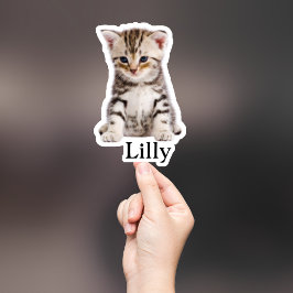 Custom Pet Sticker, Custom Dog Sticker, Custom Cat Sticker
