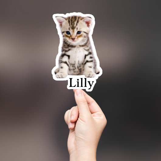 Custom Pet Sticker, Custom Dog Sticker, Custom Cat Sticker