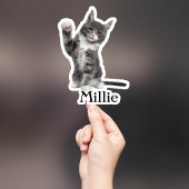 Custom Pet Sticker, Custom Dog Sticker, Custom Cat Sticker