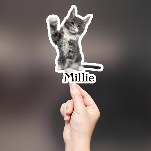 Custom Pet Sticker, Custom Dog Sticker, Custom Cat Sticker