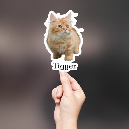 Custom Pet Sticker, Custom Dog Sticker, Custom Cat Sticker