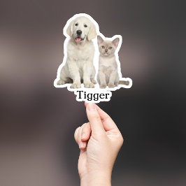 Custom Pet Sticker, Custom Dog Sticker, Custom Cat Sticker