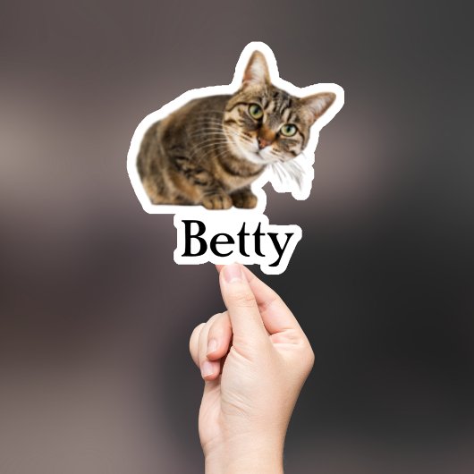 Custom Pet Sticker, Custom Dog Sticker, Custom Cat Sticker