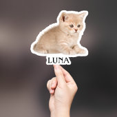 Custom Pet Sticker, Custom Dog Sticker, Custom Cat Sticker