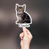 Custom Pet Sticker, Custom Dog Sticker, Custom Cat Sticker