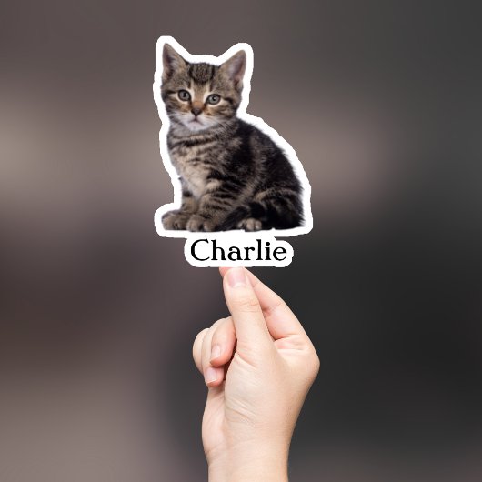 Custom Pet Sticker, Custom Dog Sticker, Custom Cat Sticker