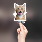 Custom Pet Sticker, Custom Dog Sticker, Custom Cat Sticker