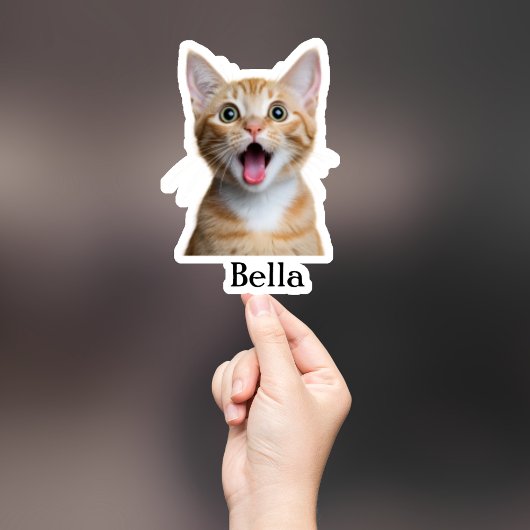Custom Pet Sticker, Custom Dog Sticker, Custom Cat Sticker