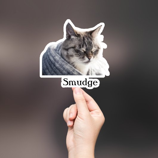 Custom Pet Sticker, Custom Dog Sticker, Custom Cat Sticker