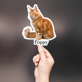 Custom Pet Sticker, Custom Dog Sticker, Custom Cat Sticker