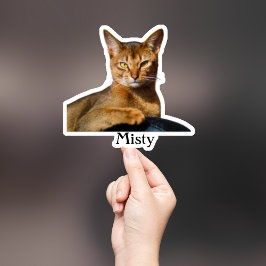 Custom Pet Sticker, Custom Dog Sticker, Custom Cat Sticker