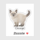 Custom Pet Sticker, Custom Dog Sticker, Custom Cat Sticker (Vel)