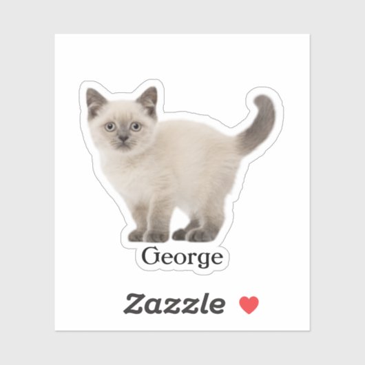 Custom Pet Sticker, Custom Dog Sticker, Custom Cat Sticker (Vel)