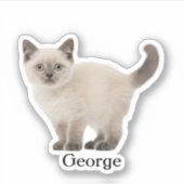 Custom Pet Sticker, Custom Dog Sticker, Custom Cat Sticker (Voorkant)