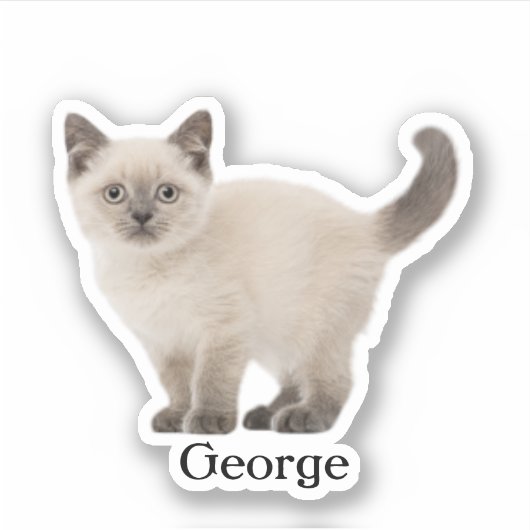 Custom Pet Sticker, Custom Dog Sticker, Custom Cat Sticker (Voorkant)
