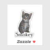 Custom Pet Sticker, Custom Dog Sticker, Custom Cat Sticker (Vel)