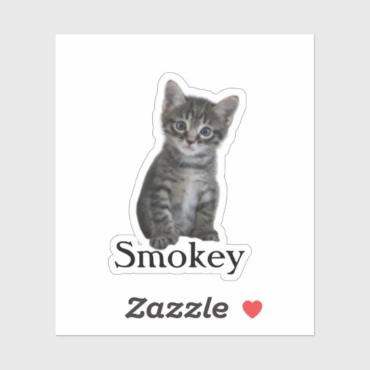 Custom Pet Sticker, Custom Dog Sticker, Custom Cat Sticker (Vel)