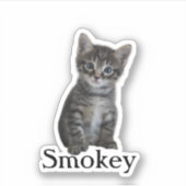 Custom Pet Sticker, Custom Dog Sticker, Custom Cat Sticker (Voorkant)