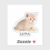 Custom Pet Sticker, Custom Dog Sticker, Custom Cat Sticker (Vel)