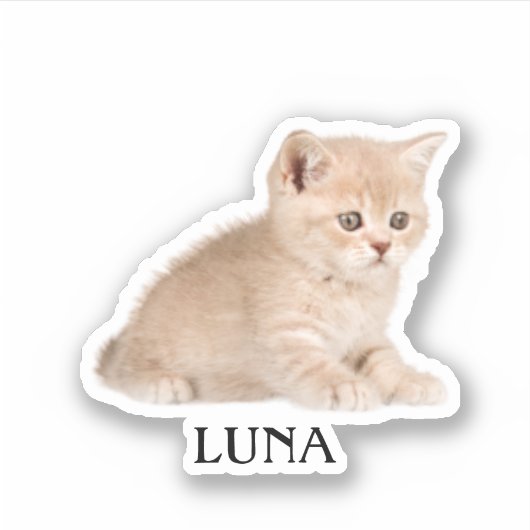 Custom Pet Sticker, Custom Dog Sticker, Custom Cat Sticker (Voorkant)