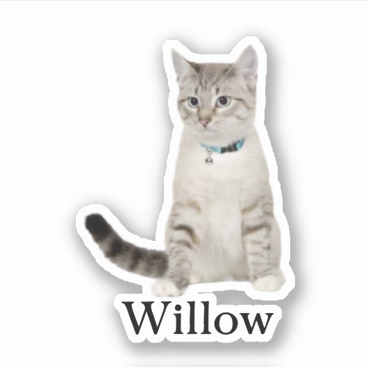 Custom Pet Sticker, Custom Dog Sticker, Custom Cat Sticker (Voorkant)