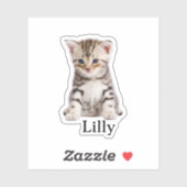 Custom Pet Sticker, Custom Dog Sticker, Custom Cat Sticker (Vel)