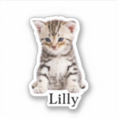 Custom Pet Sticker, Custom Dog Sticker, Custom Cat Sticker (Voorkant)