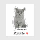 Custom Pet Sticker, Die Cut Vinyl Waterdicht Sticker (Vel)