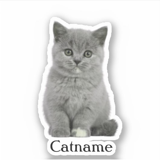 Custom Pet Sticker, Die Cut Vinyl Waterdicht Sticker (Voorkant)