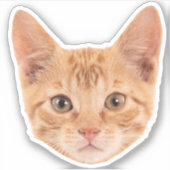 Custom Pet Stickers Custom Cat Sticker Custom Dog (Voorkant)