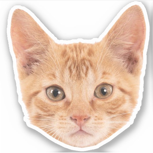 Custom Pet Stickers Custom Cat Sticker Custom Dog (Voorkant)