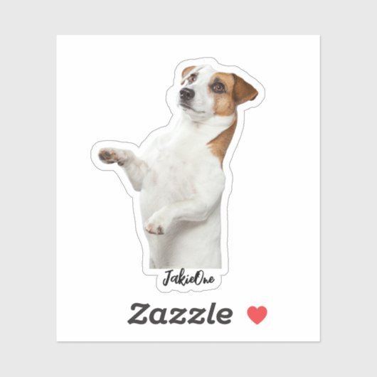 Custom Pet Stickers – Dog & Cat Photo Vinyl Decals (Vel)