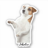 Custom Pet Stickers – Dog & Cat Photo Vinyl Decals (Voorkant)