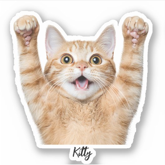 Custom Pet Stickers – Dog & Cat Photo Vinyl Decals (Voorkant)