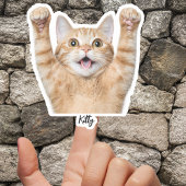 Custom Pet Stickers – Dog & Cat Photo Vinyl Decals