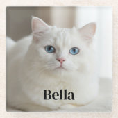 Custom photo coaster with snow white cat glazen onderzetter (Voorkant)