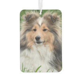 Custom Photo Dog Pet Memorial Foto Luchtverfrisser